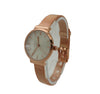 Olivia Pratt Small Face with Mesh Band Watch