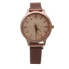 Olivia Pratt Small Face Modern Mesh Strap Watch